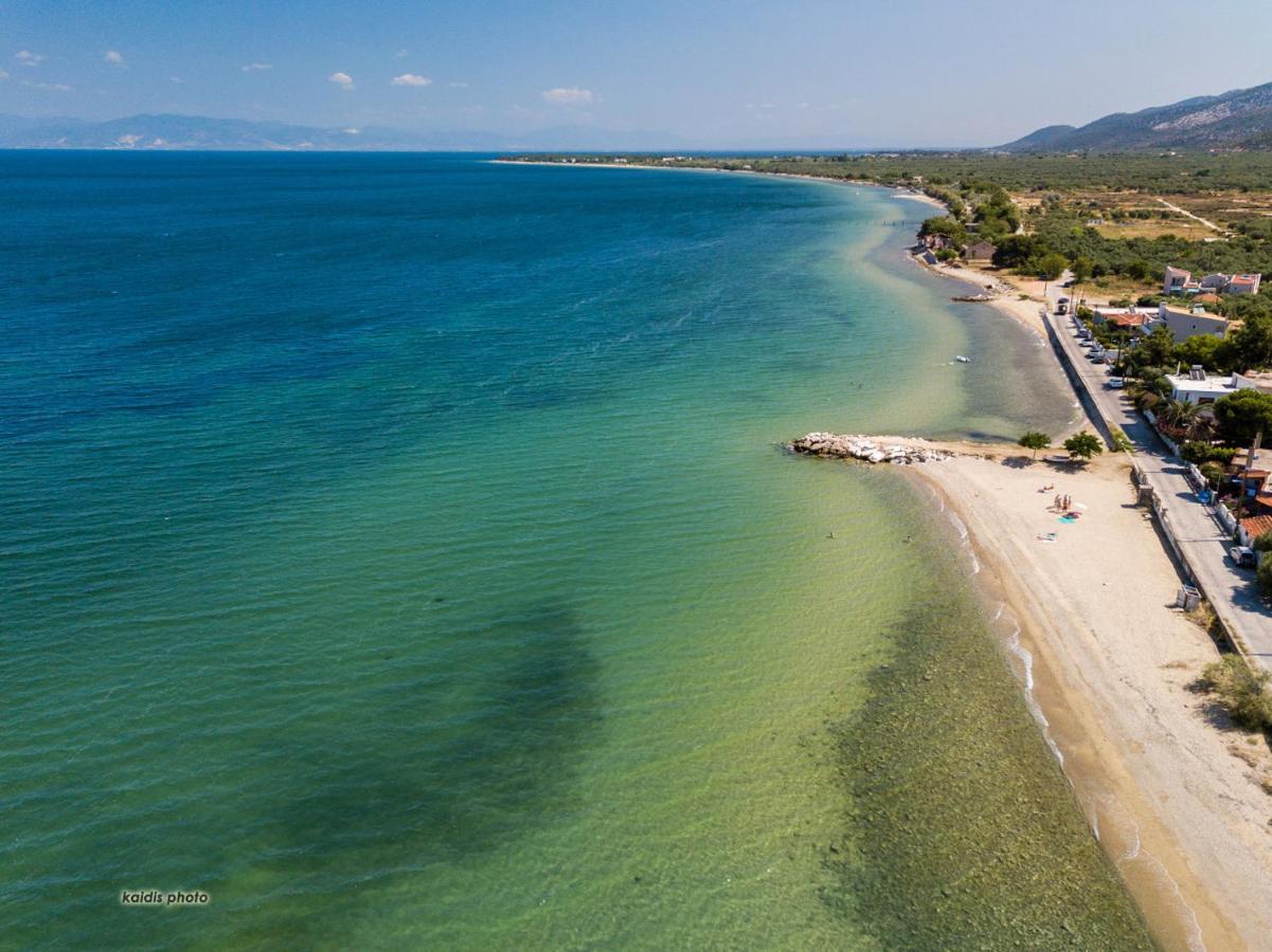 Villa 4 You Iliopetra Скала-Сотирос Экстерьер фото