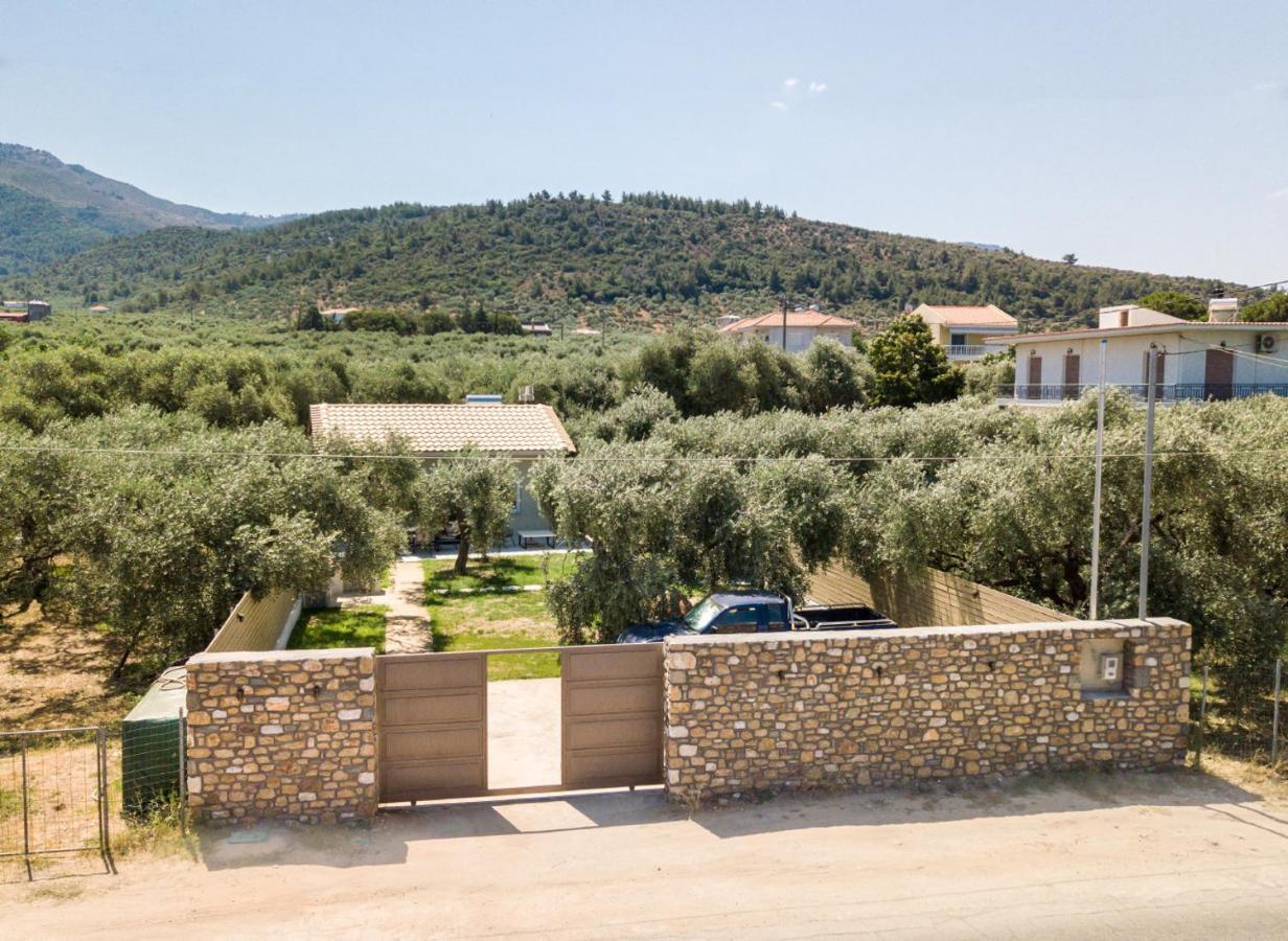 Villa 4 You Iliopetra Скала-Сотирос Экстерьер фото